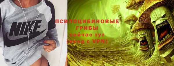 тгк Аркадак