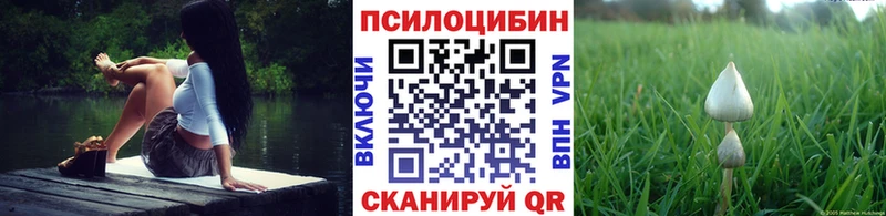 Галлюциногенные грибы ЛСД  Купить  Заречный 